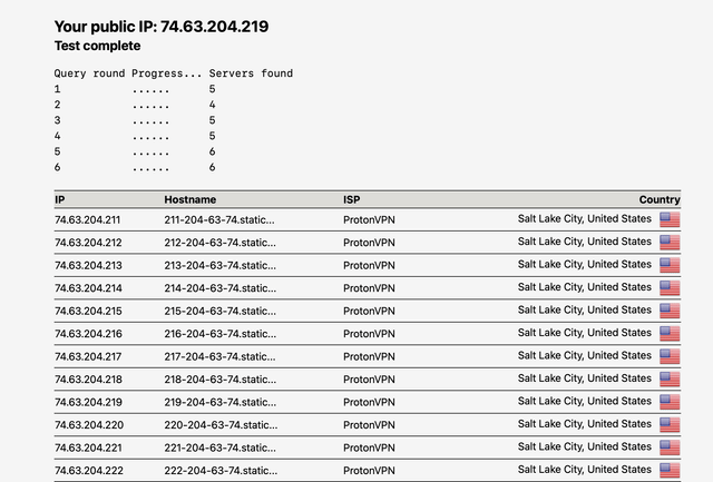 DNS 泄漏检测结果示例